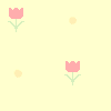 yellow-red-tulips